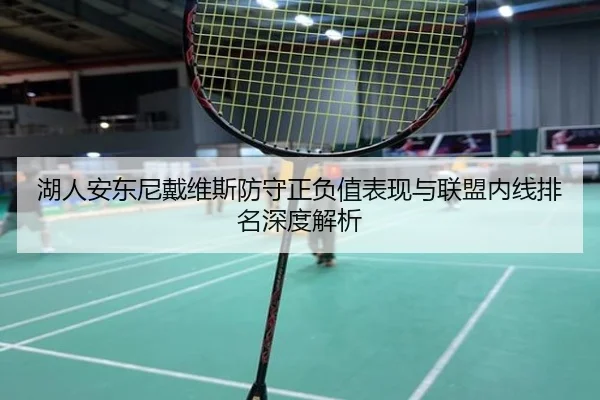 湖人安东尼戴维斯防守正负值表现与联盟内线排名深度解析
