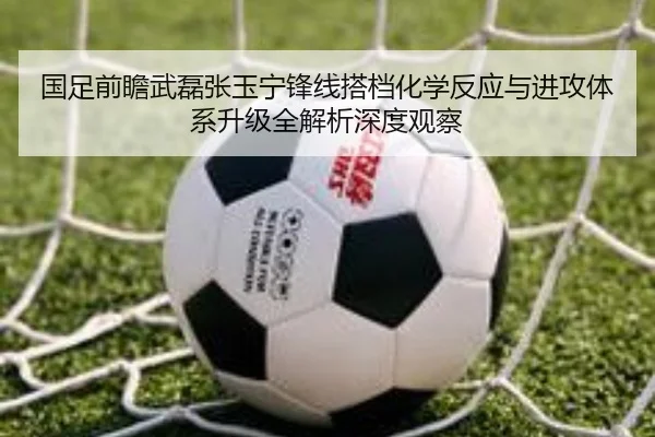 国足前瞻武磊张玉宁锋线搭档化学反应与进攻体系升级全解析深度观察